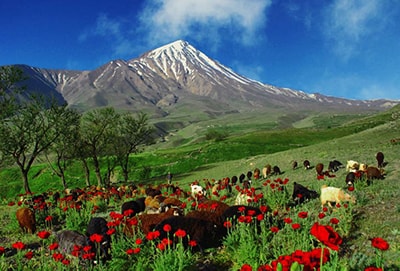 مازندران