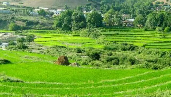 روستای زروم شهرستان نکا | ایران بوم گردی